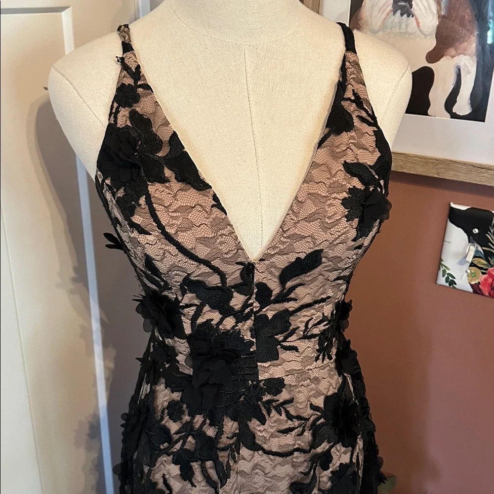 Dress the Population Sidney Black Floral Lace bodycon sheer lace XXS Maxi Dress - Picture 5 of 16